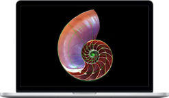 The Spirals Of Growth And Decay