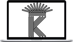 Trade Like a Professional – The Art and Application of Technical Analysis