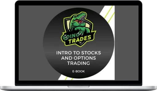 Dino Hajdarevic – Dino Trades Intro to stocks and options trading (E-Book)
