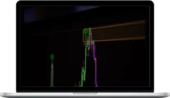 Morpheus Education – Trincea Global Macro 2025