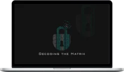 Fox Hustles – Trading the Stock Market: Decoding the Matrix