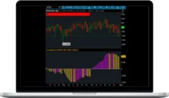 Shadow Trader – Cumulative Tick Ninja Trader