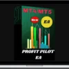 Success in life – Profit Pilot Ea